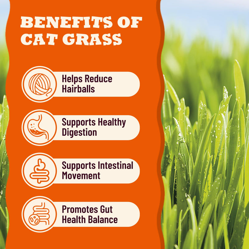 13.05oz Cat Grass Treats for Indoor Cats with Taurine for Cats and Vitamins, Crunchy and Soft Cat Treats for Hairball Control - Healthy Hairball Treats for Kittens