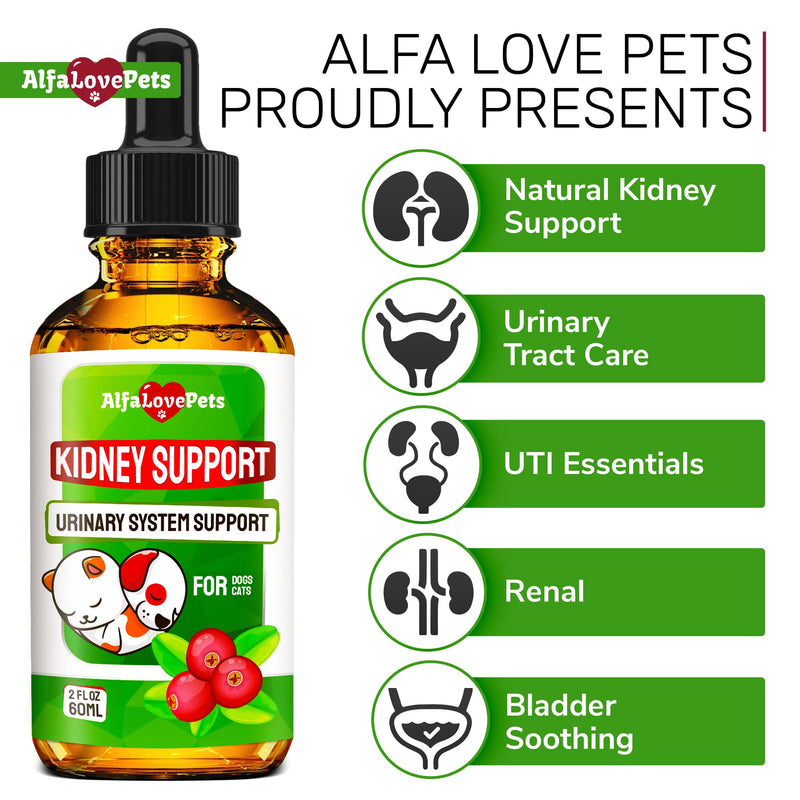 Natural Kidney Support for Dog UTI & Cat UTI - Canine Urinary Tract Care w/ Cranberry - Cat Bladder & Dog Kidney Essentials - Organic Supplement - Made in USA Drops for Dog Kidney Support (2 Oz) - PawsPlanet Australia