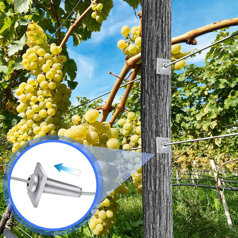 10 PCS Trellis Anchors - One Way Anchor Wire Vise 8~11 Gauge | Anchor Vise Grape Trellis with Screws for Tightening Grape Trellis to Build Trellises, Vineyards, Fences and Arbors