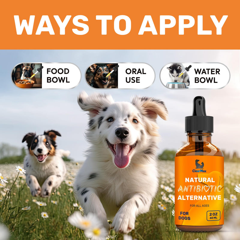 Natural Supplements for Dogs and Cats – Probiotics for Dogs – Probiotics for Cats – Bundle - PawsPlanet Australia