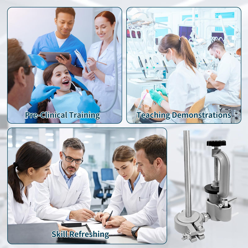 Typodont Training Mount，360° Motion Teeth Model Training Stand Fixed on Desk,Dental Schools Education Practical(Typodont Model is NOT Included)