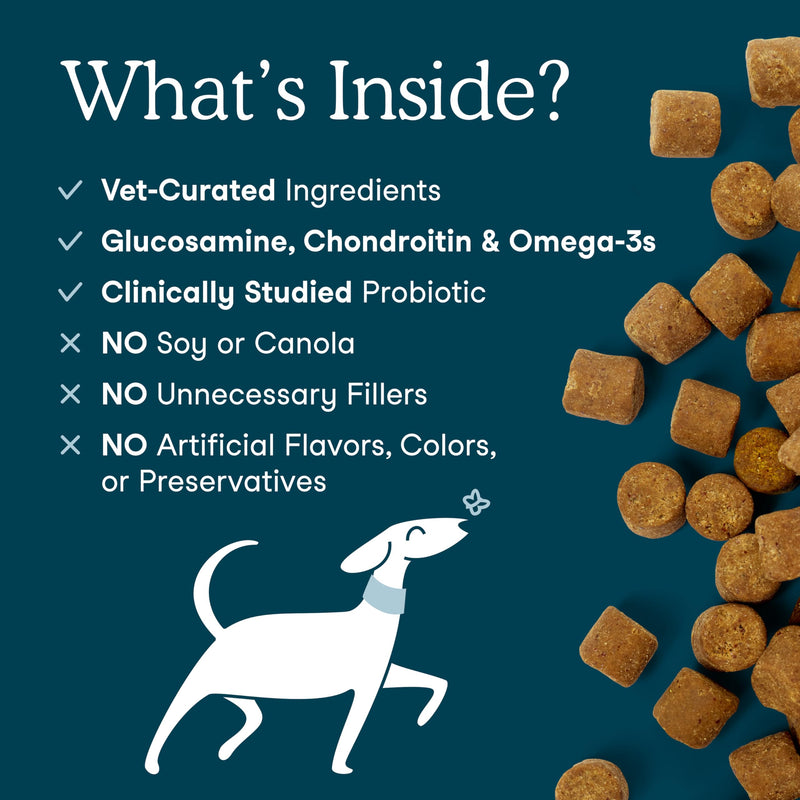 Fera Pets Dog Multivitamin Chews with Glucosamine and Probiotics - Essential Dog Vitamins & Minerals - Promotes Healthy Digestion & Joints - Boosts Skin & Coat Health with Omega-3s - 90 Soft Chews 90 Chews