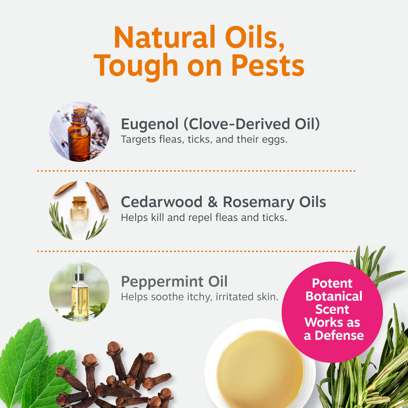 Zesty Paws Flea and Tick Spray for Dogs - Kill Fleas, Ticks & Their Eggs - Veterinarian Formulated - Soothes Itchy & Irritated Dog Skin - Cedarwood Oil, Rosemary Oil & Peppermint Oil Flea & Tick Spray