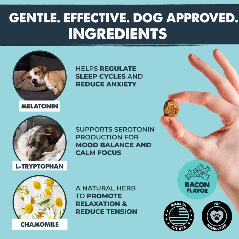 Mighty Paw Calming Chews for Dogs with Melatonin - Vet Formulated Dog Sleep Aid - Puppy & Large Pet Treats - Waggables Calm -Composure Calming Chews for Stress & Relaxation, 120 Count (Made in USA) 1 Pack - 120 Chew Count