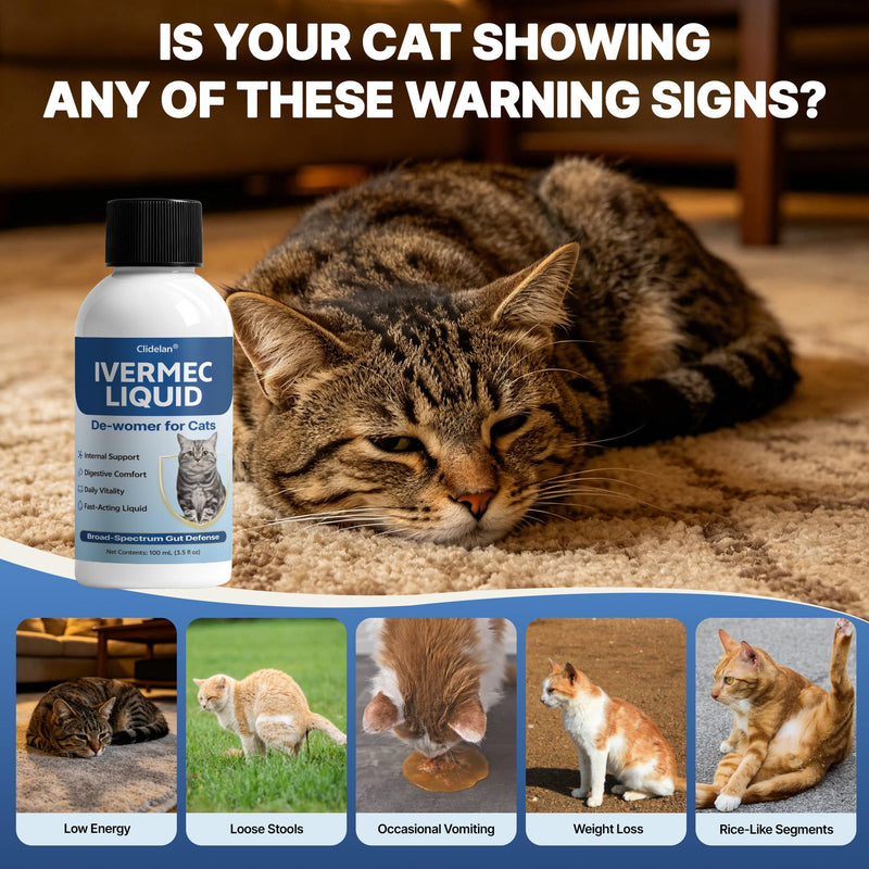 lveɾmec Dew0ɾmeɾ Liquid for Cats, Natural Broad Spectrum Gut Safeguard for Kittens and Adult Cats-Targets Common Internal Concerns | Fast-Acting Supports Digestive Comfort, Immune Wellness & Energy