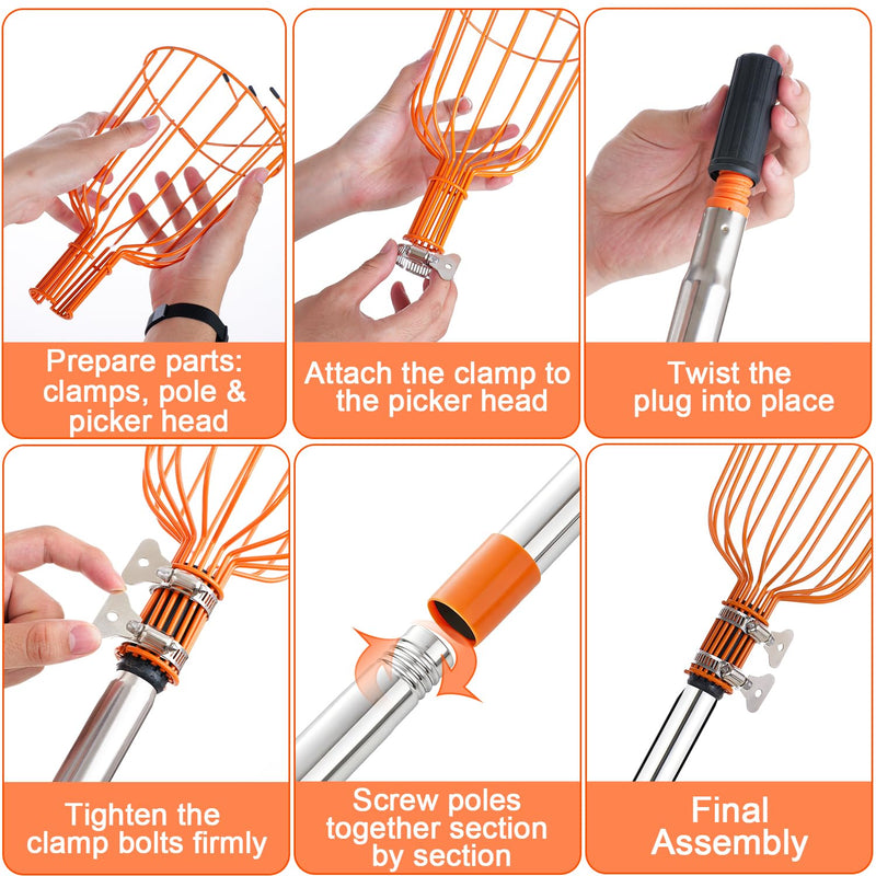Fruit Picker Pole Tool with Basket Long Handle, 27-170 Inch Adjustable Fruits Picking Pole Tool for Apple Lemon Orange Mango Avocado Fruit Tree Picking