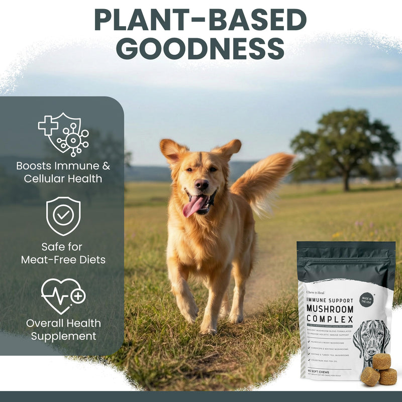 Mushroom Supplement for Dogs with Organic Turkey Tail, Shiitake, Reishi, Colostrum, and Fish Oil - Immune Support Mushroom Complex, 90 Soft Chews - Made in the USA