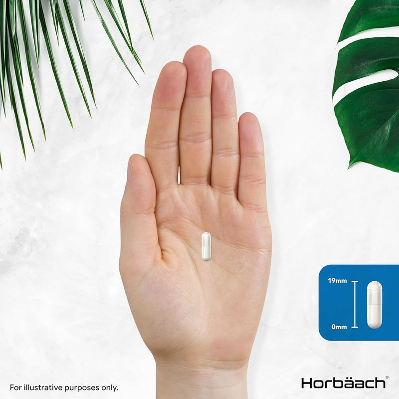 Bromelain 500mg high dose | 2500 GDU/g | 120 Vegan Capsules | Digestive enzyme | from Horbaach