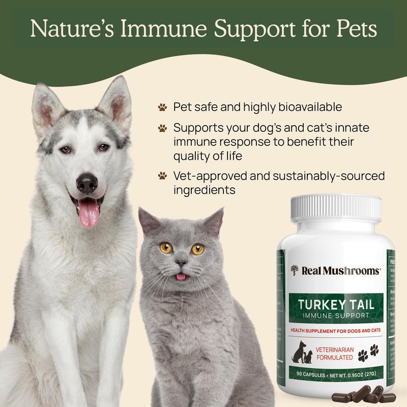 Turkey Tail Pet Support - Dog Multivitamins and Supplements for Immune Support, Gut Health & Wellness - Grain-Free, Gluten-Free, Vet-Approved Dog Supplement (90ct) Turkey Tail Mushrooms Pet