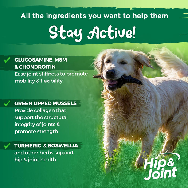 Vital Planet - Hip and Joint Soft Chews for Dogs, with Glucosamine, MSM, and Collagen from Green-Lipped Mussel - 30 Bacon Flavored Soft Chews - PawsPlanet Australia