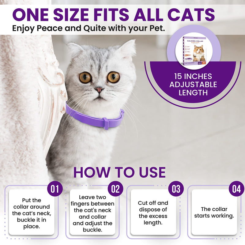 Pheromone Calming Collar for Cats: Breakaway Cat Calming Collar for Anxiety, Separation Stress, Multicat Aggression, Spraying, Meowing - for Indoor Use, Moving & Travel, 4 Pack (Purple) Purple