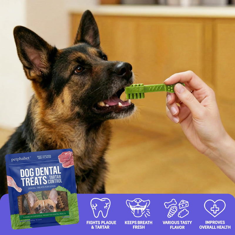 PETPHABET Grilled Pork Hock Dog Chews + 3 Flavors Toothbrush Dental Treats