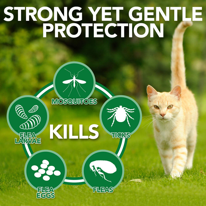 Vet's Best Flea and Tick Home Spray for Cats | Flea Treatment for Cats and Home | Flea Killer with Certified Natural Oils 32 Fl Oz (Pack of 1) - PawsPlanet Australia