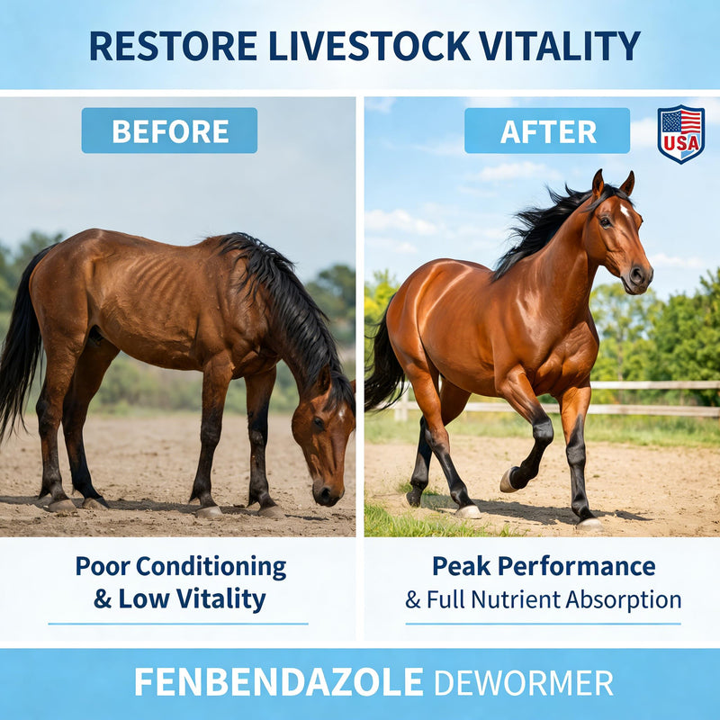 Fenbendazole-Based Digestive Support for Horses and Poultry, Intestinal Support Formula for Routine Animal Wellness