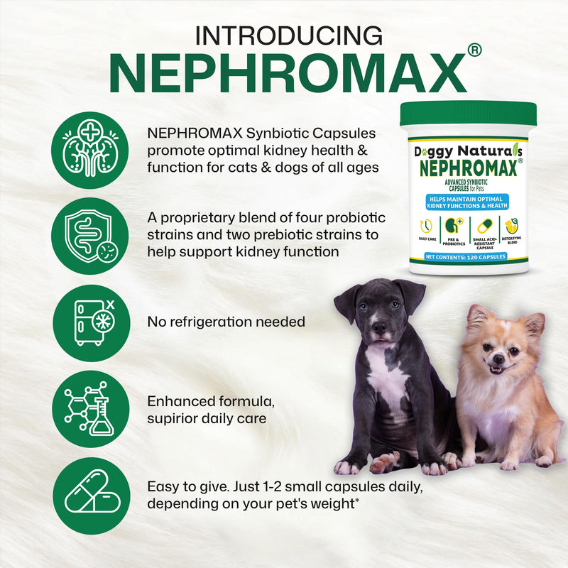 NEPHROMAX™ Synbiotic Capsules for Kidney Support for Dogs & Cats - 36 Billion CFU-Advanced Next-Generation Enteric detoxifying Blend of Pre & Probiotics Kidney Support U.S.A (120 Small Capsules) 120 Caps