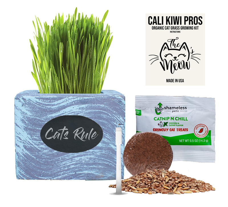 Cat Grass for Indoor Cats Kit – Organic Wheatgrass Seed & Soil, Hairball Remedy in Red Cedar Planter, Gift Box with Bonus Label, Pen & 10% Cat Treats Discount (Coast) Coast (1 Planters)