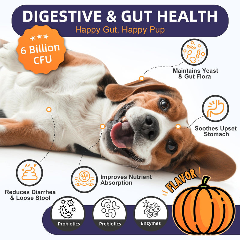 NATURE TARGET Probiotics for Dogs, 6 Billion Dog Probiotics with Prebiotics & Enzymes for Digestive & Gut Health, Pumpkin, Omega-3 & Multivitamins for Itchy Skin, Allergies, 120 Dogs Probiotics Chews 120 Count (Pack of 1)