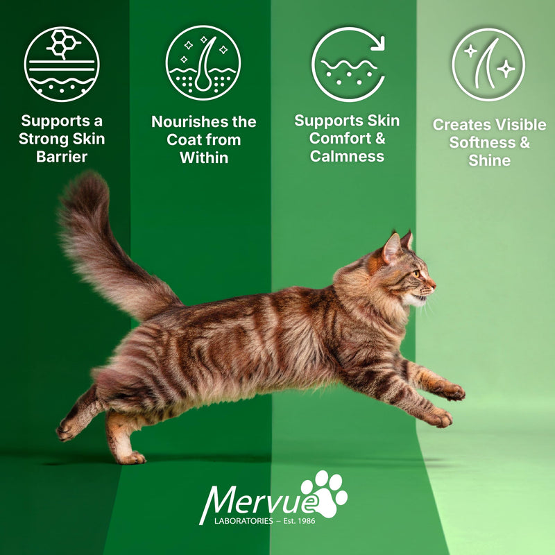 Mervue Skin and Coat Supplement for Cats – Omega 3 Cat Supplement in Gel w/Zinc & Biotin for Dry Skin & Shedding – Tasty, Easy-to-Use Cat Nutritional Gel for Shiny Fur & Healthy Skin (14, 5ml Packs)