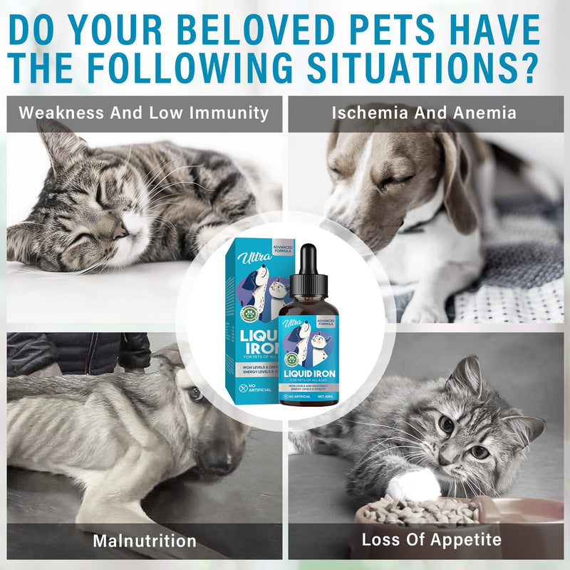 Liquid Iron Supplements for Cats, Dogs with Vitamin C and B12, Supports Anemia, Low Enery Levels and Lethargy, Improve Blood Health