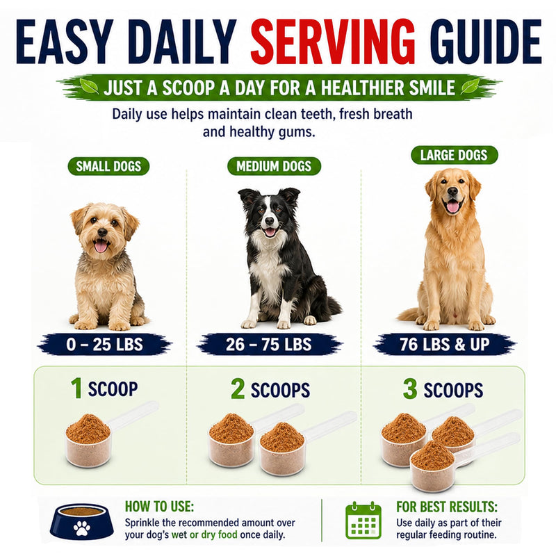 Dog Dental Powder for Dogs & Cats – Bactase Pet™ Enzymes, Astaxanthin & Ascophyllum Nodosum – Helps Reduce Plaque & Tartar, Freshens Breath & Supports Healthy Gums– Made in USA– 30 Servings