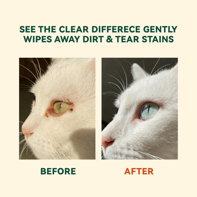 Eye Wipes for Dogs & Cats, Gently Remove Tear Stains, Debris & Discharge, Hypoallergenic Pet Eye Cleaner for Eyes, Wrinkles & Face, Unscented with Natural Coconut Oil & Provitamin B5, 100ct Pet Eye Wipes