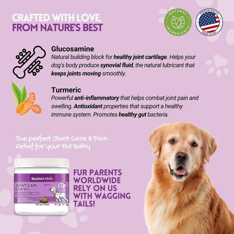 Herbion Pets Joint Care Chews with Glucosamine & Turmeric, 120 Soft Chews, MSM & Chondroitin for Pain Relief, Improves Mobility, Supports Healthy Joints, Made in The USA - for Dogs 12 Weeks+ - PawsPlanet Australia