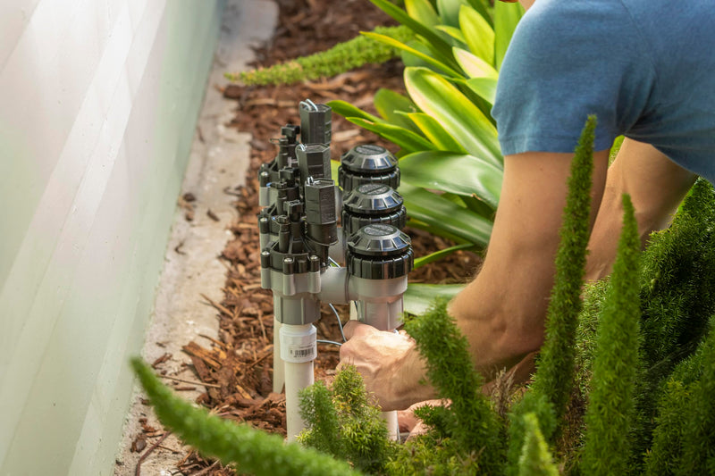Rain Bird DASASVF075 Professional Grade Anti-Siphon Valve with Flow Control, 3/4" Threaded Female x Female 0.75 Inch