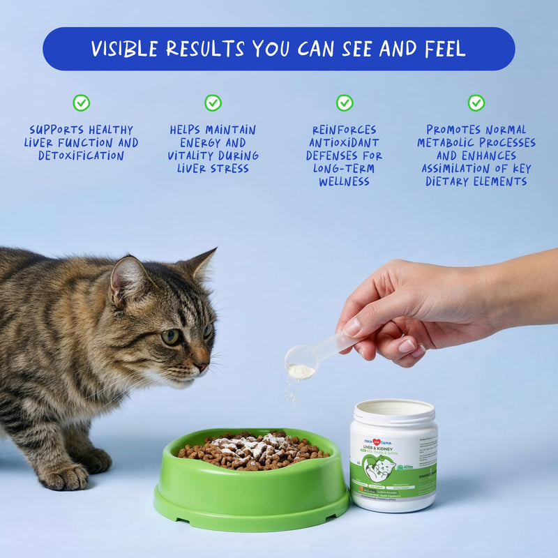 Liver and Kidney Soft Chews for Dogs & Liver and Kidney Support Powder for Cats