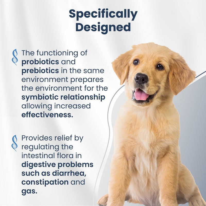 Bio PetActive Synbioflora | Probiotics&Prebiotics for Medium and Large Breed Dogs | Support Digestion,Gut and Stomach Health | Helps with Diarrhea,Gas and Constipation Relief | 60 Chews