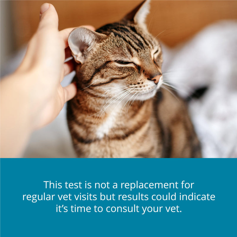 Petivity At-Home Kidney Health Test Kit for Cats, Powered by Purina - (Pack of 1) 1 Ounce (Pack of 1)