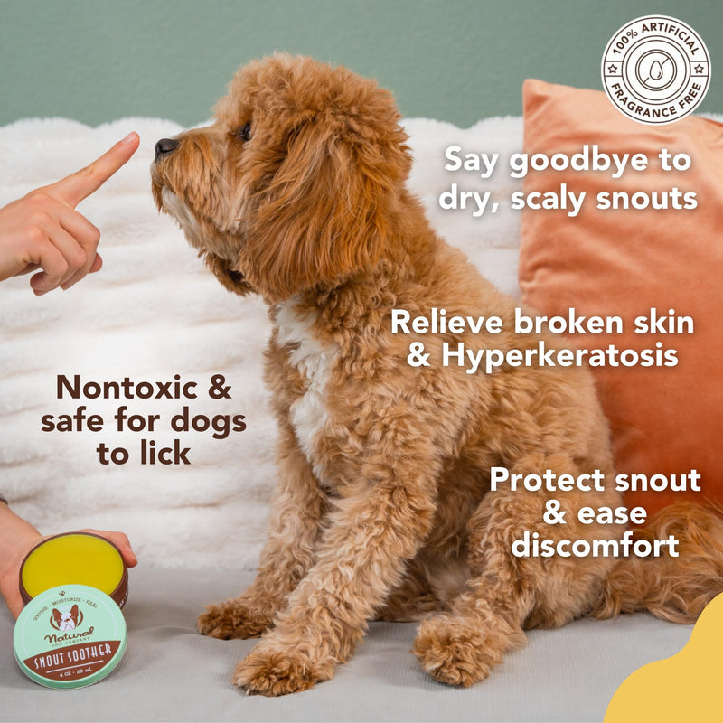 Natural Dog Company Snout Soother Bundle, Includes 2oz Tin + 0.15oz Stick, Dog Nose Balm for Chapped, Crusty and Dry Dog Noses, Organic, All Natural Ingredients, Packaging May Vary 2 oz. Tin & Travel Stick - PawsPlanet Australia