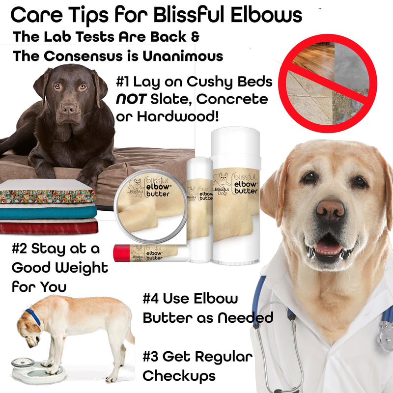 The Blissful Dog Elbow Butter, Moisturizer for Dry, Cracked Elbow Calluses, Versatile Dog Balm, Lick-Safe Balm, 1 oz. 1 Ounce - PawsPlanet Australia