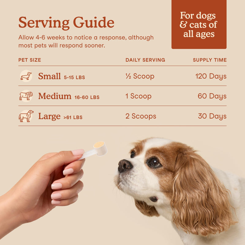Fera Pets Gut + Immune Support Bundle - Probiotics Powder (60 School) & Mushroom Powder (120 Scoops) for Dogs & Cats