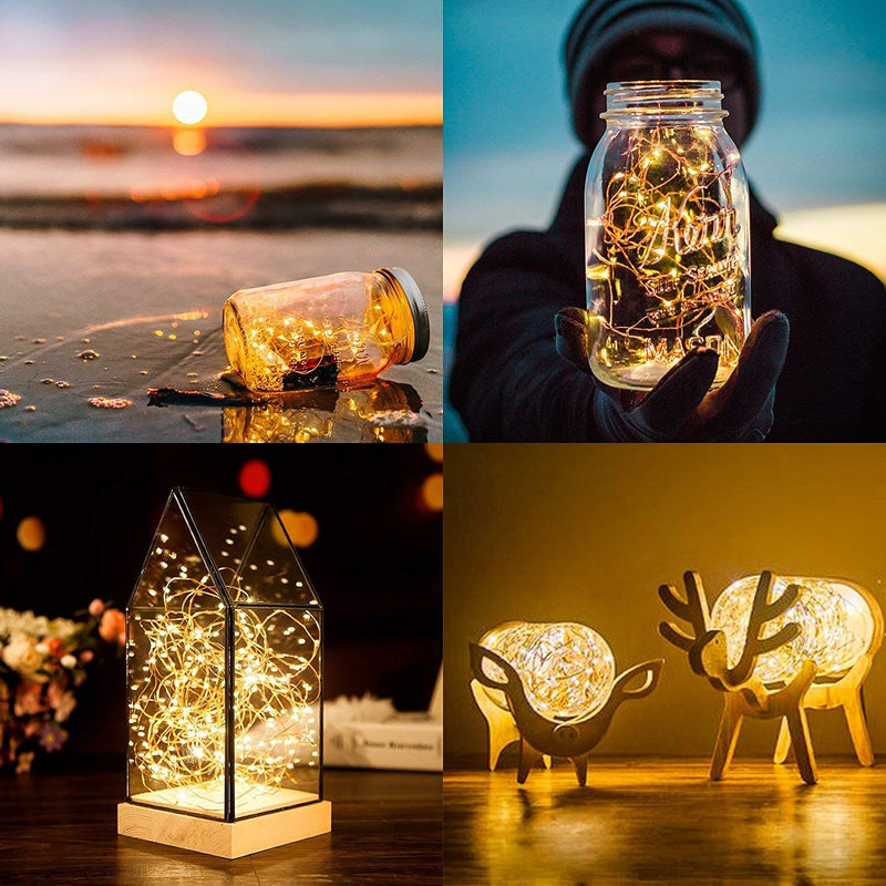 ANJAYLIA LED Fairy String Lights, 10Ft/3M 30leds Firefly String Lights Garden Home Party Wedding Festival Decorations Crafting Battery Operated Lights, Warm White Warm White 1 Pack 30 LED