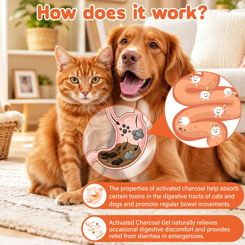 Activated Charcoal Paste for Dogs & Cats – 30 ml First Aid for Pet Poison Emergency, Toxin Absorber for Digestive Health, Easy-Use Paste for Puppy & Kitten, Home & Travel Essential