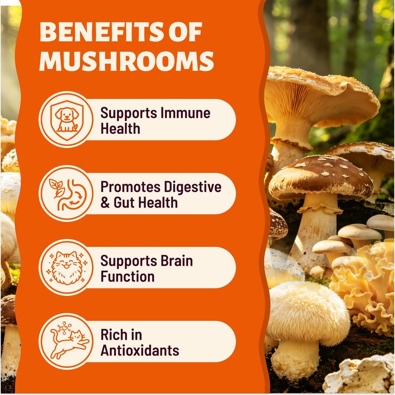 Turkey Tail Mushroom Powder for Dog, 8 Mushrooms Blend & Chicken, Mushroom Supplement - Immune, Digestive, Real Mushrooom Turkey Tail - Daily Antioxidant Support, Cat Lumps & Bumps, 5.3oz.