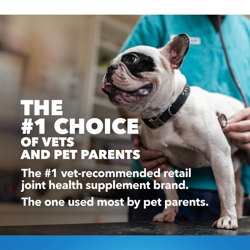 Nutramax Cosequin Maximum Strength Joint Health Supplement for Dogs - With Glucosamine, Chondroitin, MSM, and Hyaluronic Acid, 75 Chewable Tablets - PawsPlanet Australia