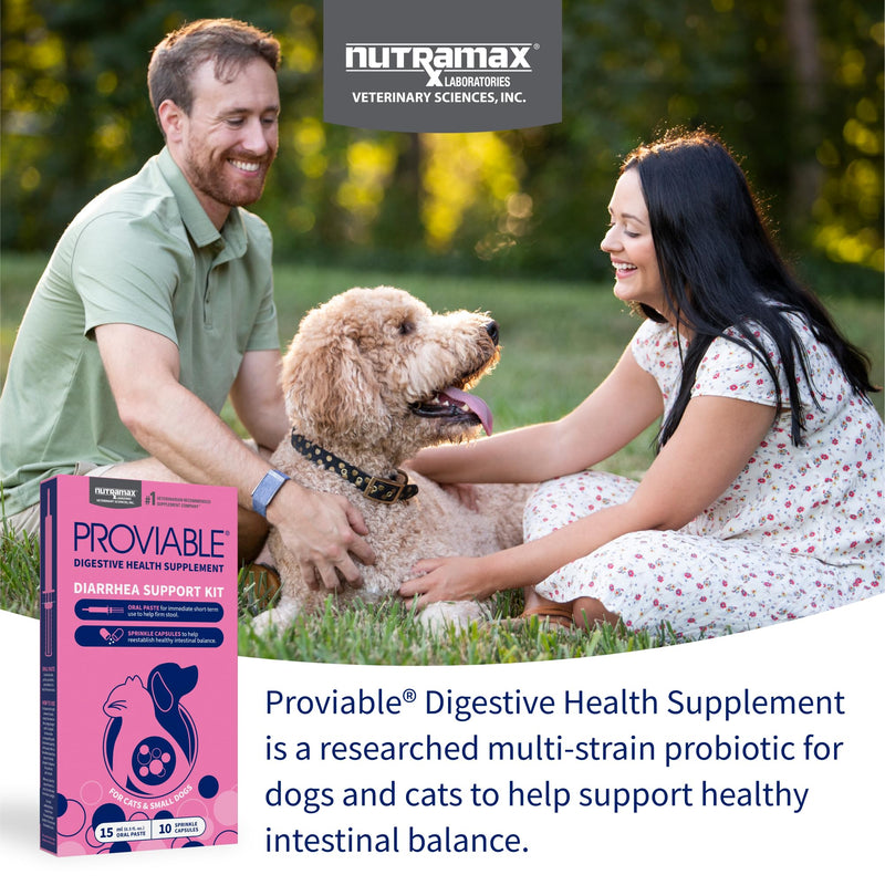Nutramax Proviable Probiotics for Small Dogs and Cats, Diarrhea Support Kit, Digestive Health Supplement with Multiple Strains of Bacteria, Plus Prebiotics, Kaolin and Pectin, 15 ml Paste and 10 Capsules Small Dog/Cat (Under 20 lbs) - 15 ml (Pack of 10)