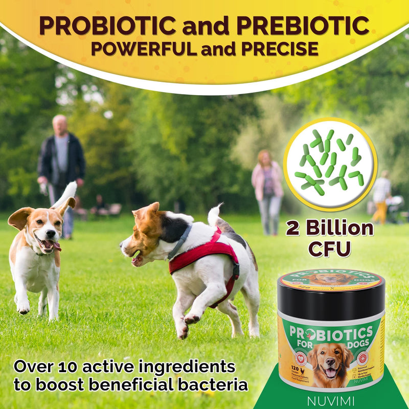 Probiotics for Dogs - Dog Probiotic & Prebiotic Tablets - Digestive Support Supplement for Gut Health, Tummy Relief, Itching, Diarrhea, Allergies, Bad Breath - 120 Chicken Flavor