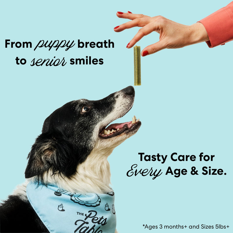 The Pets Table Dental Chews for Dogs 28 Sticks (20 oz), Chicken, Mint & Parsley | Dental Treats/Teeth Cleaning Chews | Removes Plaque and Tarter | Dental Sticks for Bad Breath Treatment | Dental Bones Chicken, Mint, and Parsley 1.25 Pound (Pack of 1)