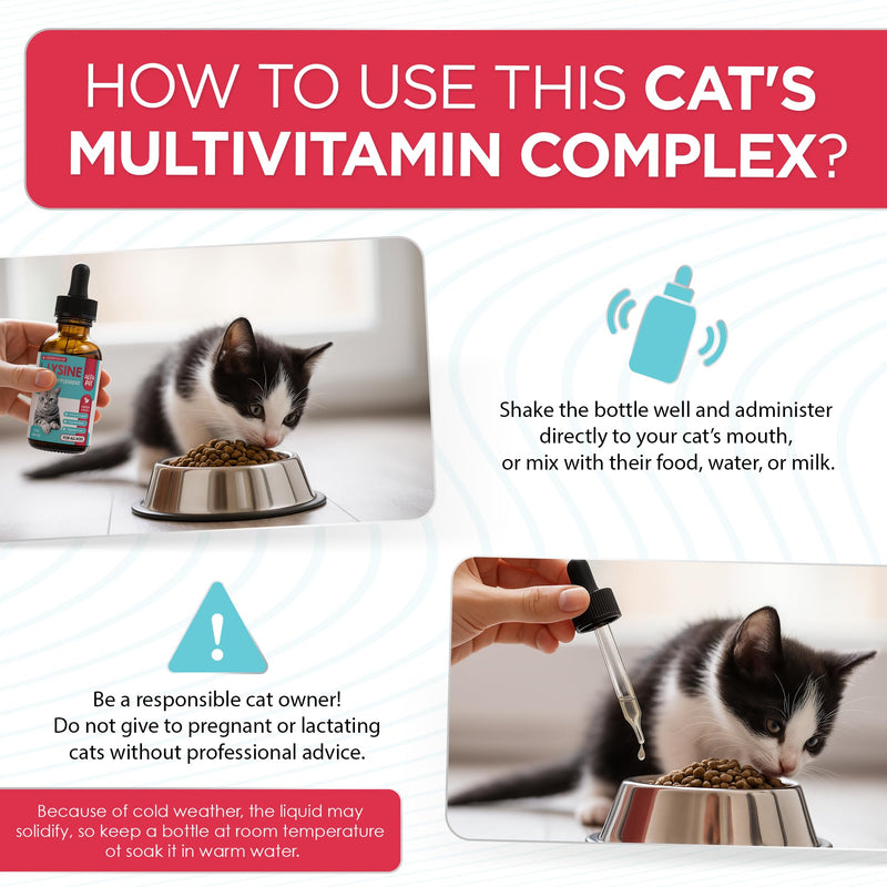 L Lysine for Cats with Taurine & Probiotic – A and B Vitamins Help with Watery Eyes, Sneezing, Cough, Allergies – Feline Upper Respiratory Supplement Works as a Natural Antibiotic for Cats – 2 Oz 2 Fl Oz