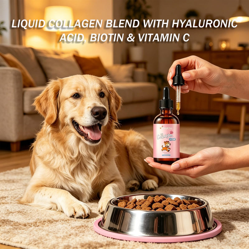 Liquid Collagen Supplement for Dogs - Supports Joint Health, Skin & Coat Vitality, and Digestive Wellness, 2 Fl Oz Premium Formula (2 Pack) (1) 1