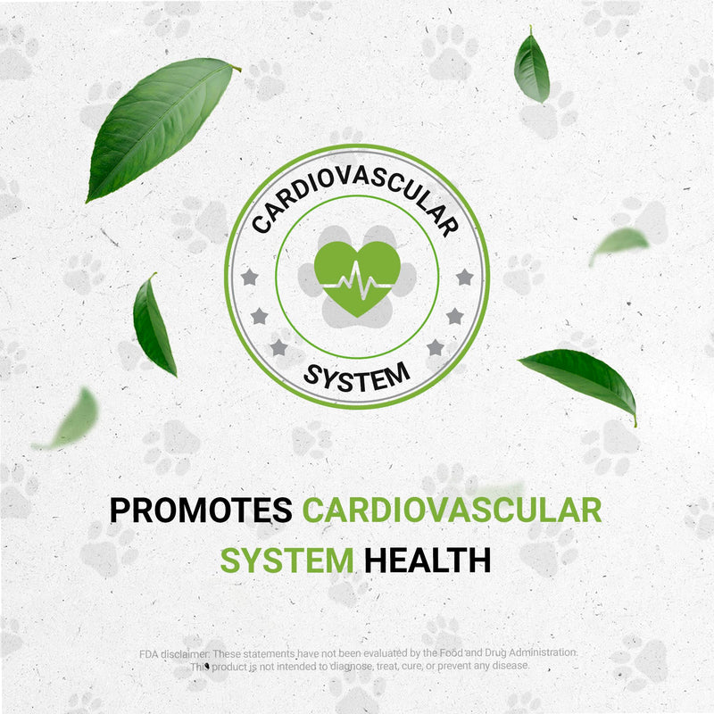 Wolf's Blood Pressure | Natural Herbal Dietary Supplement for Dogs | Healthy Blood Pressure Support in Dogs | Alcohol-Free Extract, Dandelion Root, Lemon Balm, Calendula, Lavender, Fennel 2 oz