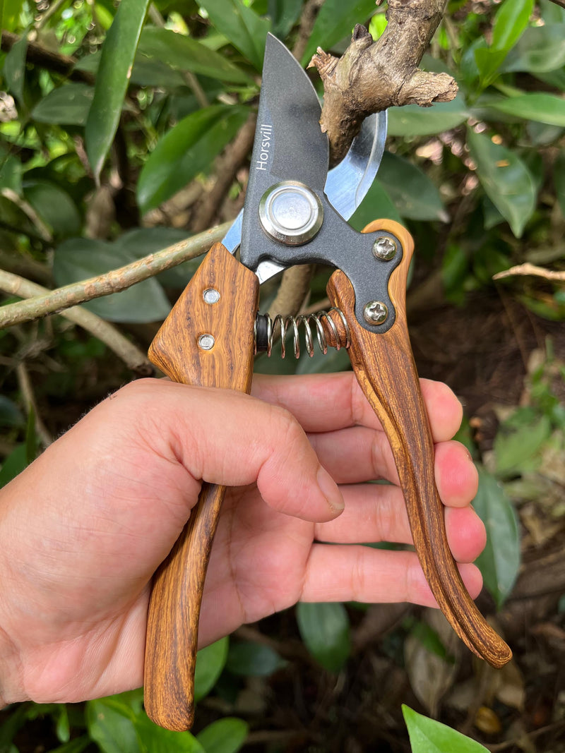 Garden Shears, Japanese Floral branch cutters, Snips for Gardening, Flower scissors Florist clippers, Hand Held Pruners for Gardening Heavy Duty, Pruning shears for garden (Wood Black) Wood Black