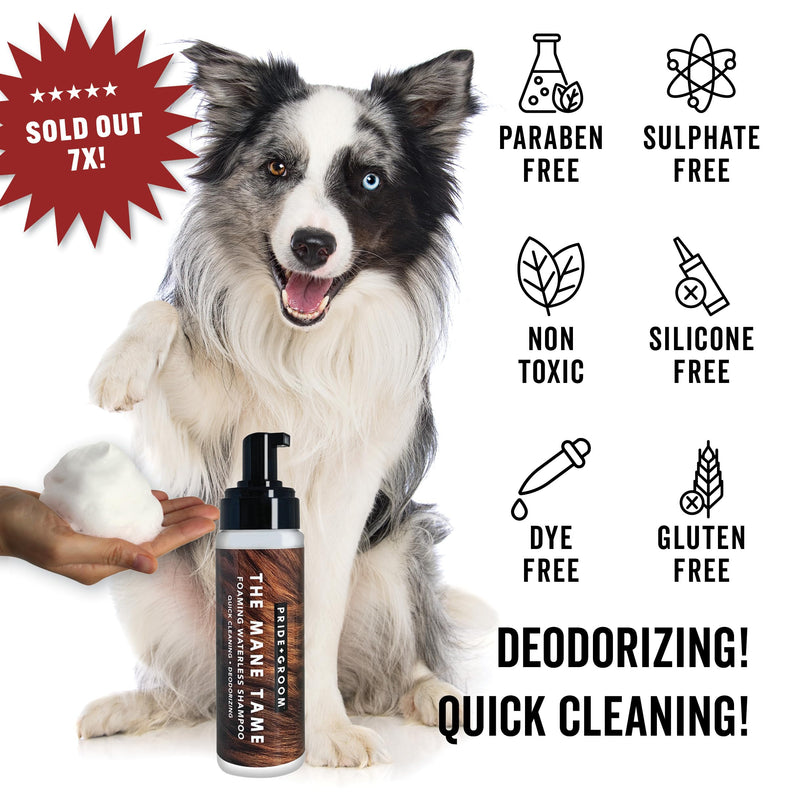 Pride and Groom THE MITT KIT: A Waterless Bath for Your Dog - Foaming Dry Shampoo and a Pet Sensitive Glove for a Rinse Free Cleanse and to Eliminate Odor - PawsPlanet Australia