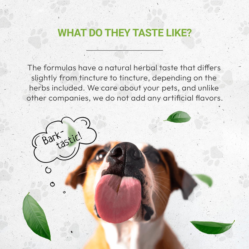 Wolf's Kidney | Natural Herbal Dietary Supplement | Healthy Kidney Function Support in Dogs | Alcohol-Free Extract, Rehmannia, Ginkgo, Echinacea, Marshmallow, Couch Grass, Hawthorn, Uva Ursi 2 oz - PawsPlanet Australia