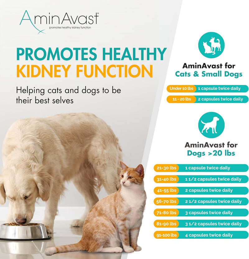AminAvast Kidney Support Supplement for Cats and Dogs, 300mg - Promotes Natural Kidney Function - Aids in Health and Vitality of Aging Kidneys - Easily Administered - 60 Sprinkle Capsules - NewNest Australia