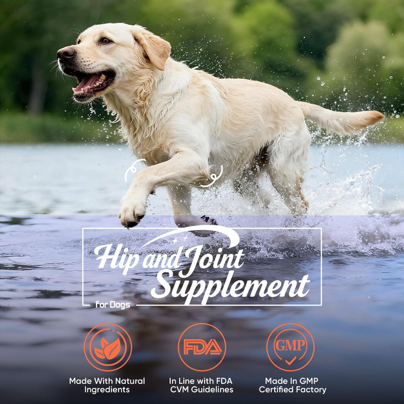 Hip and Joint Supplement Powder for Dogs Glucosamine for Dogs, Dog Arthritis Vitamins for Hip and Joint Pain Relief Contains Glucosamine Chondroitin MSM Vitamin E for All Breeds and Sizes 0.15 KG Beef
