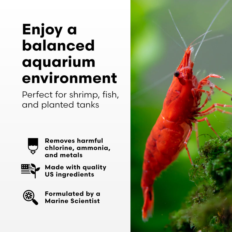 Brightwell Aquatics Shrimp Prep – Water Conditioner for Freshwater Shrimp & Aquariums – Removes Chlorine, Ammonia & Heavy Metals – Promotes Healthy Habitat, 250 ml 250-ml
