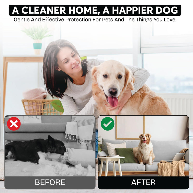 NEXARA Bitter Apple Spray for Dogs, Chewing Deterrent Spray, Alcohol-Free, Non-Toxic Formula, 5.07 fl oz (150 ml)